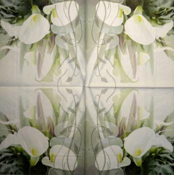 012 Calla - 3-lagig (12)